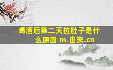 喝酒后第二天拉肚子是什么原因 m.由来.cn